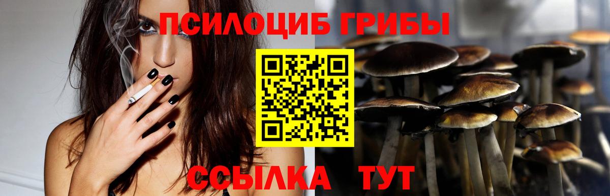 Псилоцибиновые грибы мицелий Белореченск